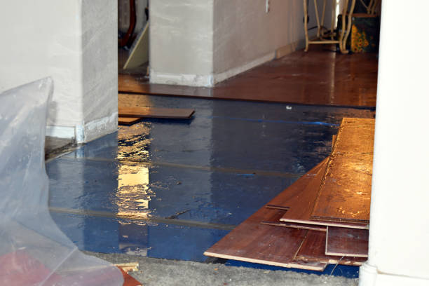 Professional Burst Pipe Cleanup technician working in Ludlow, MA