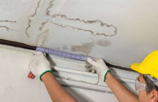 Reliable Burst Pipe Cleanup contractor in Ludlow, MA by Water Damage Irwin